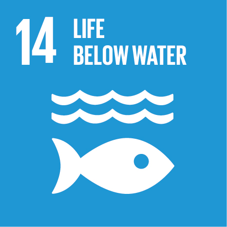 Icon and Link to the United Nations sustainable development goal page for Life Below Water